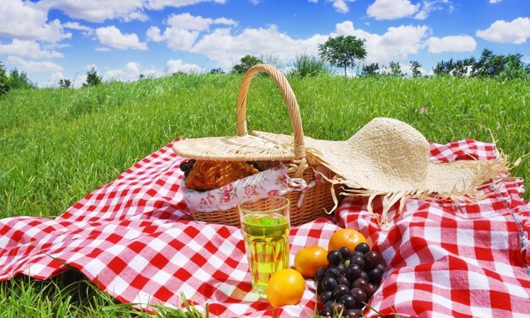 Kako planirati savršen piknik