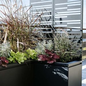 Dekorativna vanjska pregrada Bora i žardinjera Tera Obsidian